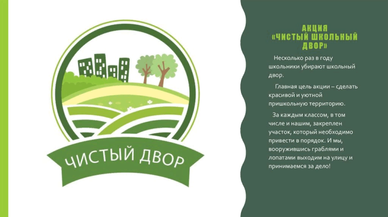 Операция «Чистый двор»..